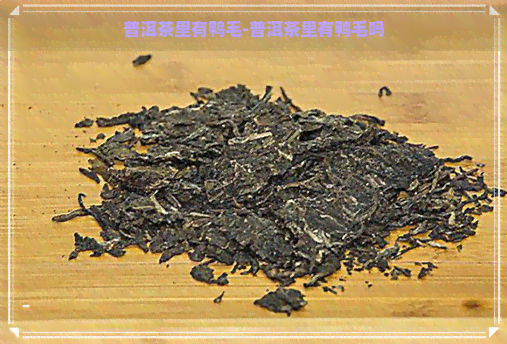 普洱茶里有鸭毛-普洱茶里有鸭毛吗