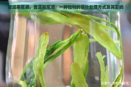 普洱茶尾凋，普洱茶尾凋：一种独特的茶叶处理方式及其影响