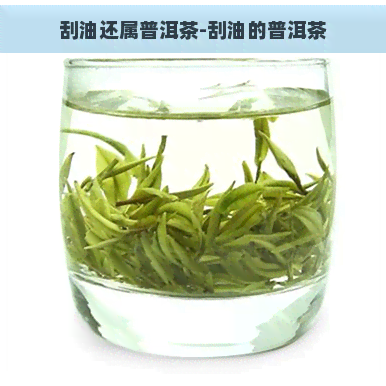 刮油还属普洱茶-刮油的普洱茶