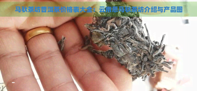 马驮茶坊普洱茶价格表大全：云南思马驮茶坊介绍与产品图