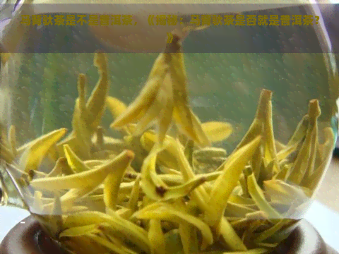 马背驮茶是不是普洱茶，《揭秘：马背驮茶是否就是普洱茶？》