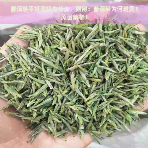 普洱茶不好卖吗为什么，揭秘：普洱茶为何难卖？原因解析！