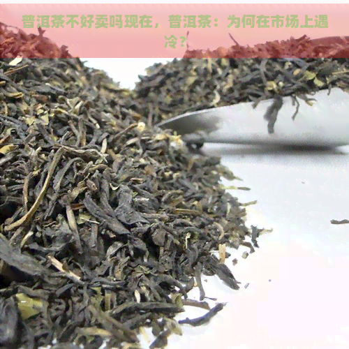 普洱茶不好卖吗现在，普洱茶：为何在市场上遇冷？