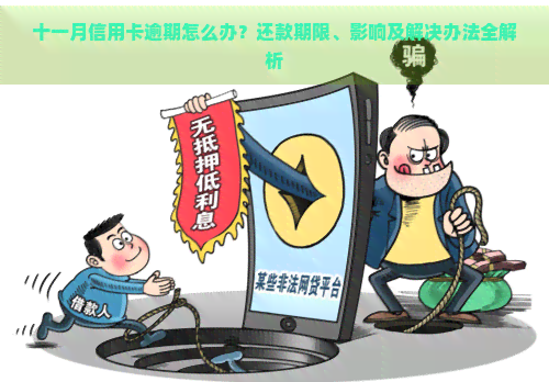 十一月信用卡逾期怎么办？还款期限、影响及解决办法全解析