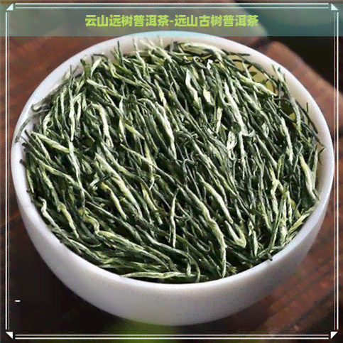 云山远树普洱茶-远山古树普洱茶