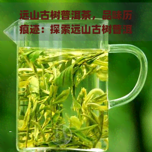 远山古树普洱茶，品味历痕迹：探索远山古树普洱茶的魅力