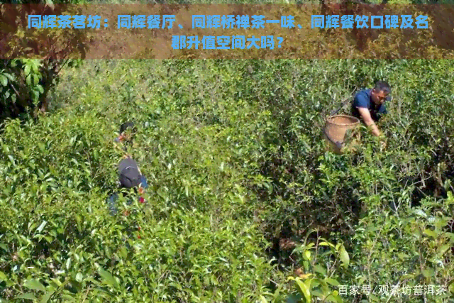 同辉茶茗坊：同辉餐厅、同辉桥禅茶一味、同辉餐饮口碑及名郡升值空间大吗？