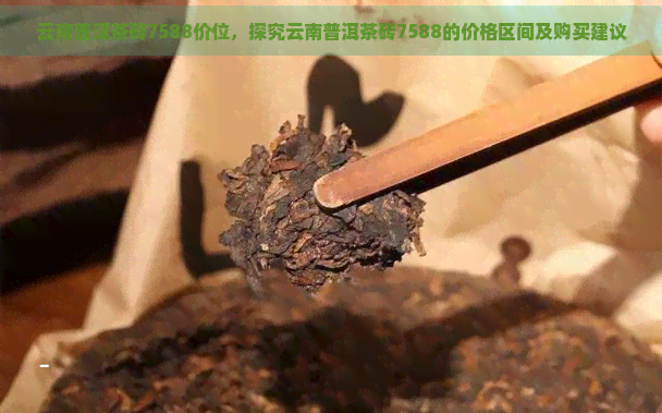 云南普洱茶砖7588价位，探究云南普洱茶砖7588的价格区间及购买建议