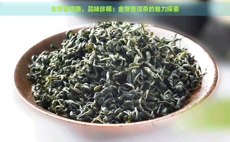 金芽普洱茶，品味珍稀：金芽普洱茶的魅力探索