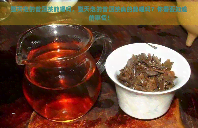 整天泡的普洱茶能喝吗，整天泡的普洱茶真的能喝吗？你需要知道的事情！