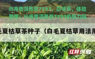 兴海普洱熟茶7593，品味历，体验醇厚：兴海普洱熟茶7593的魅力探索