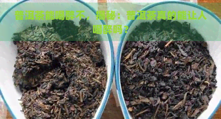 普洱茶能喝醉不，揭秘：普洱茶真的能让人喝醉吗？