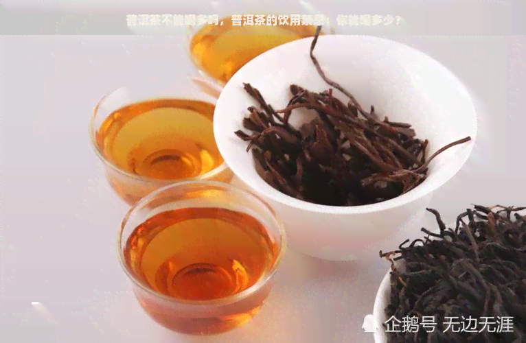 普洱茶不能喝多吗，普洱茶的饮用禁忌：你能喝多少？