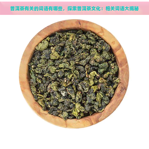 普洱茶有关的词语有哪些，探索普洱茶文化：相关词语大揭秘