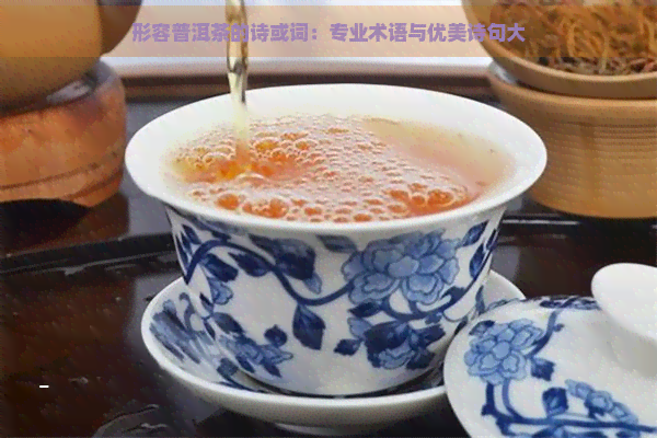 形容普洱茶的诗或词：专业术语与优美诗句大