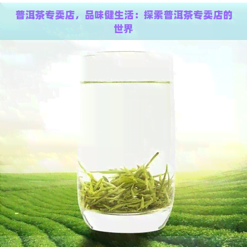 普洱茶专卖店，品味健生活：探索普洱茶专卖店的世界