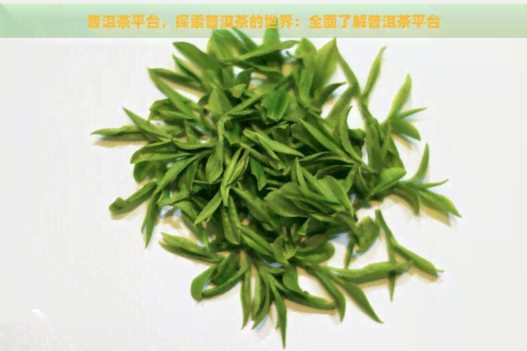 普洱茶平台，探索普洱茶的世界：全面了解普洱茶平台