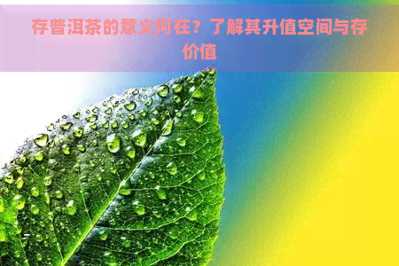 存普洱茶的意义何在？了解其升值空间与存价值