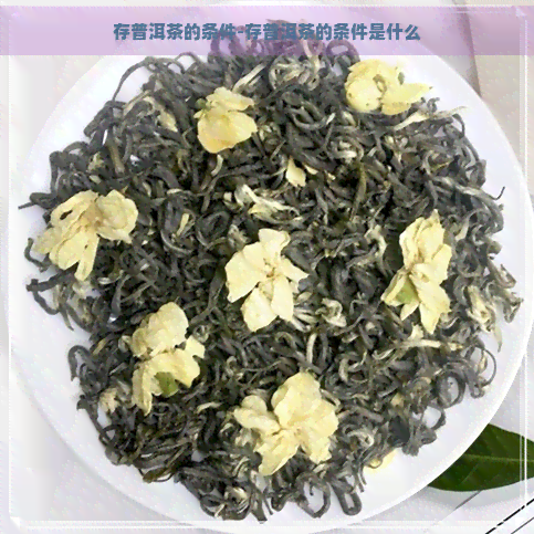 存普洱茶的条件-存普洱茶的条件是什么