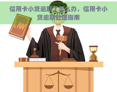 信用卡小贷逾期了怎么办，信用卡小贷逾期处理指南