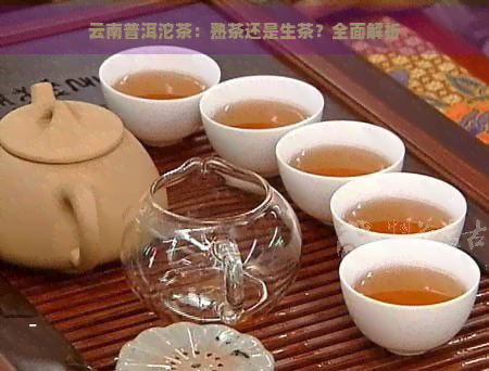 云南普洱沱茶：熟茶还是生茶？全面解析