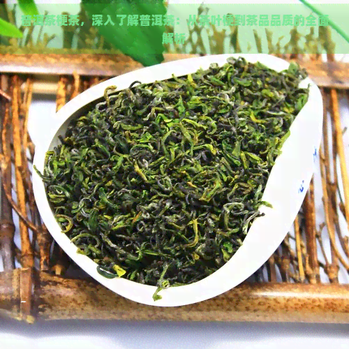 普洱茶梗茶，深入了解普洱茶：从茶叶梗到茶品品质的全面解析