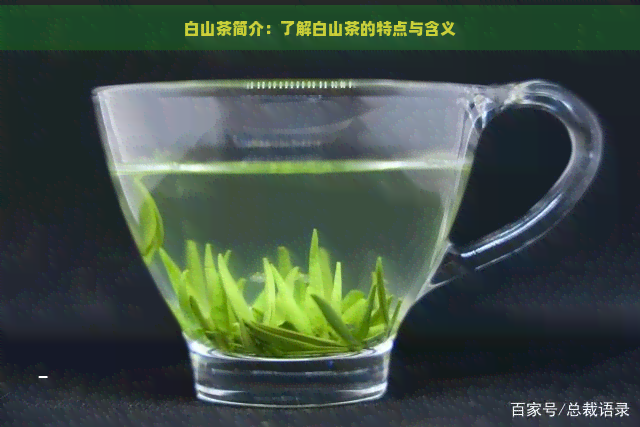 白山茶简介：了解白山茶的特点与含义