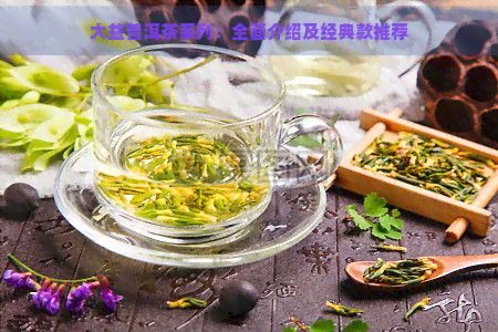 大益普洱茶系列：全面介绍及经典款推荐