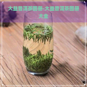 大益普洱茶图册-大益普洱茶图册大全