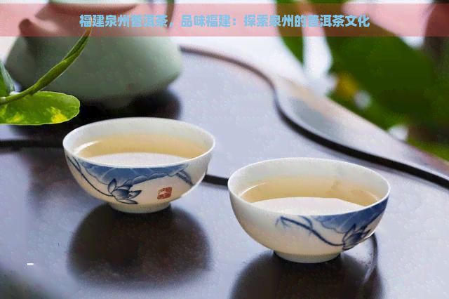 福建泉州普洱茶，品味福建：探索泉州的普洱茶文化