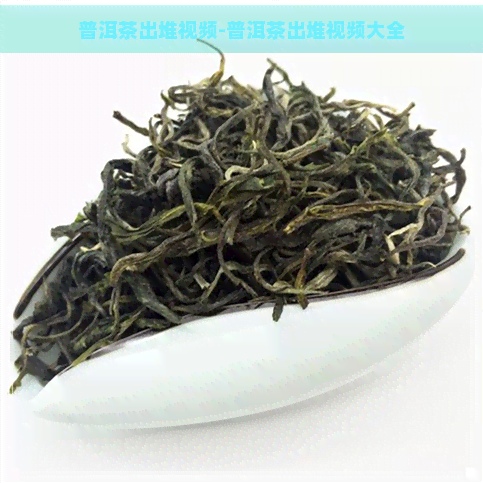 普洱茶出堆视频-普洱茶出堆视频大全