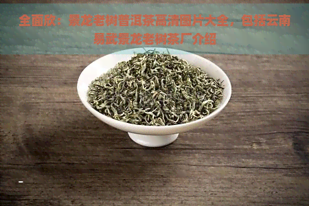 全面欣：景龙老树普洱茶高清图片大全，包括云南易武景龙老树茶厂介绍