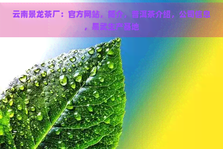 云南景龙茶厂：官方网站，简介，普洱茶介绍，公司信息，易武生产基地