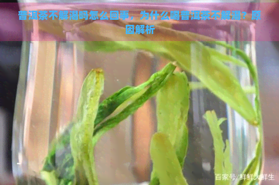 普洱茶不解渴吗怎么回事，为什么喝普洱茶不解渴？原因解析