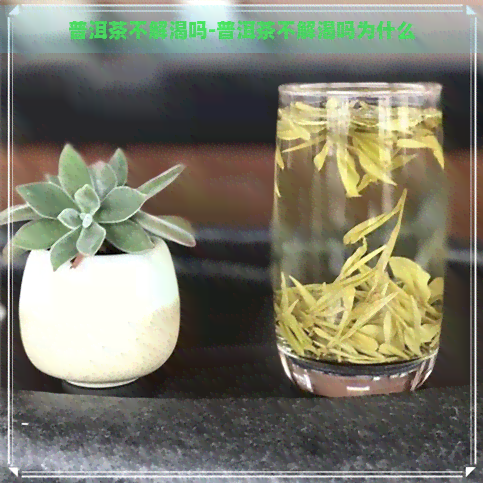 普洱茶不解渴吗-普洱茶不解渴吗为什么