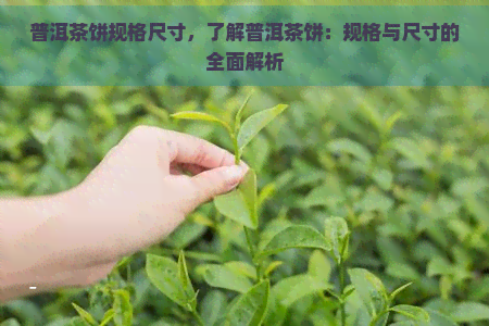 普洱茶饼规格尺寸，了解普洱茶饼：规格与尺寸的全面解析