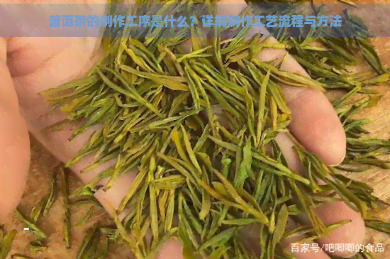 普洱茶的制作工序是什么？详解制作工艺流程与方法