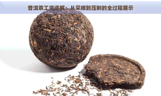 普洱茶工序详解：从采摘到压制的全过程展示