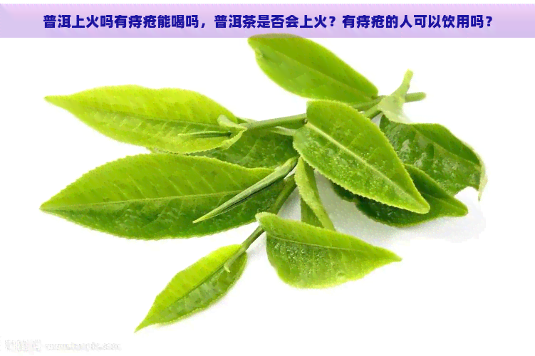 普洱上火吗有痔疮能喝吗，普洱茶是否会上火？有痔疮的人可以饮用吗？