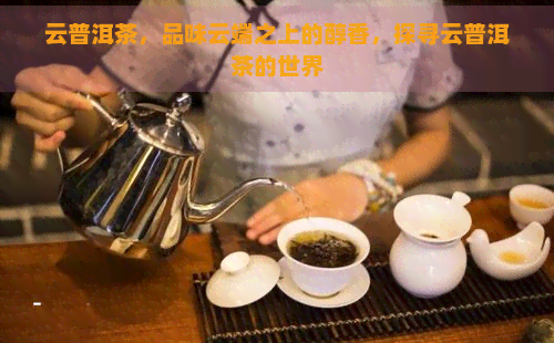 云普洱茶，品味云端之上的醇香，探寻云普洱茶的世界