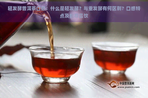 轻发酵普洱茶口感：什么是轻发酵？与重发酵有何区别？口感特点及推荐品饮