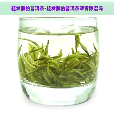 轻发酵的普洱茶-轻发酵的普洱茶暖胃除湿吗