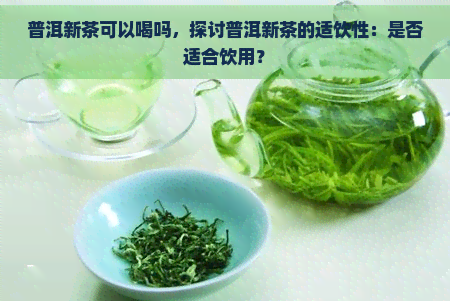 普洱新茶可以喝吗，探讨普洱新茶的适饮性：是否适合饮用？