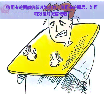 信用卡逾期微信怎么办，信用卡逾期后，如何有效应对微信？