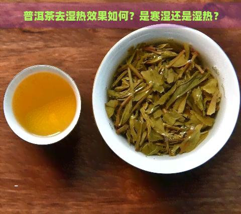 普洱茶去湿热效果如何？是寒湿还是湿热？