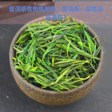 普洱茶性热性寒吗，普洱茶：是性还是凉性？