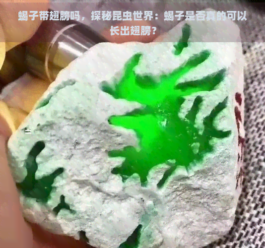 蝎子带翅膀吗，探秘昆虫世界：蝎子是否真的可以长出翅膀？