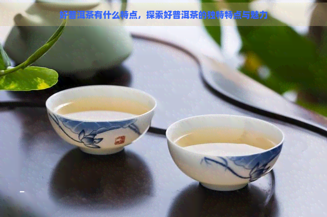 好普洱茶有什么特点，探索好普洱茶的独特特点与魅力