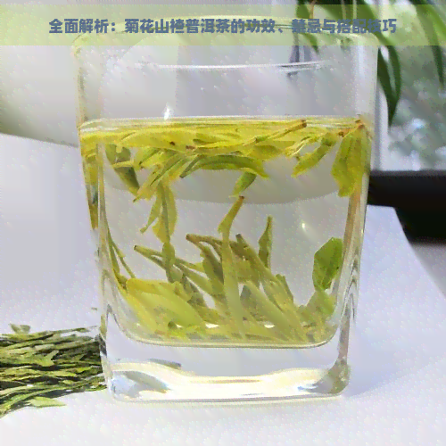 全面解析：菊花山楂普洱茶的功效、禁忌与搭配技巧