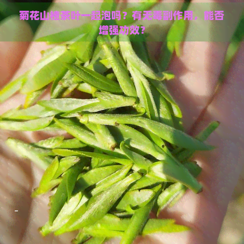 菊花山楂茶叶一起泡吗？有无副作用，能否增强功效？